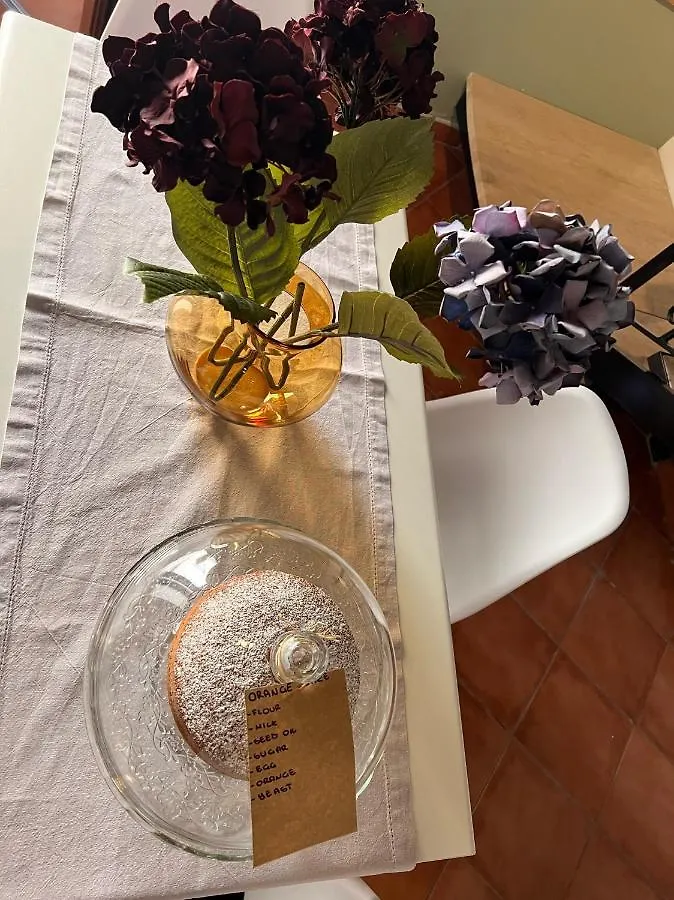 Apartament Domus Conte Federico Palermo