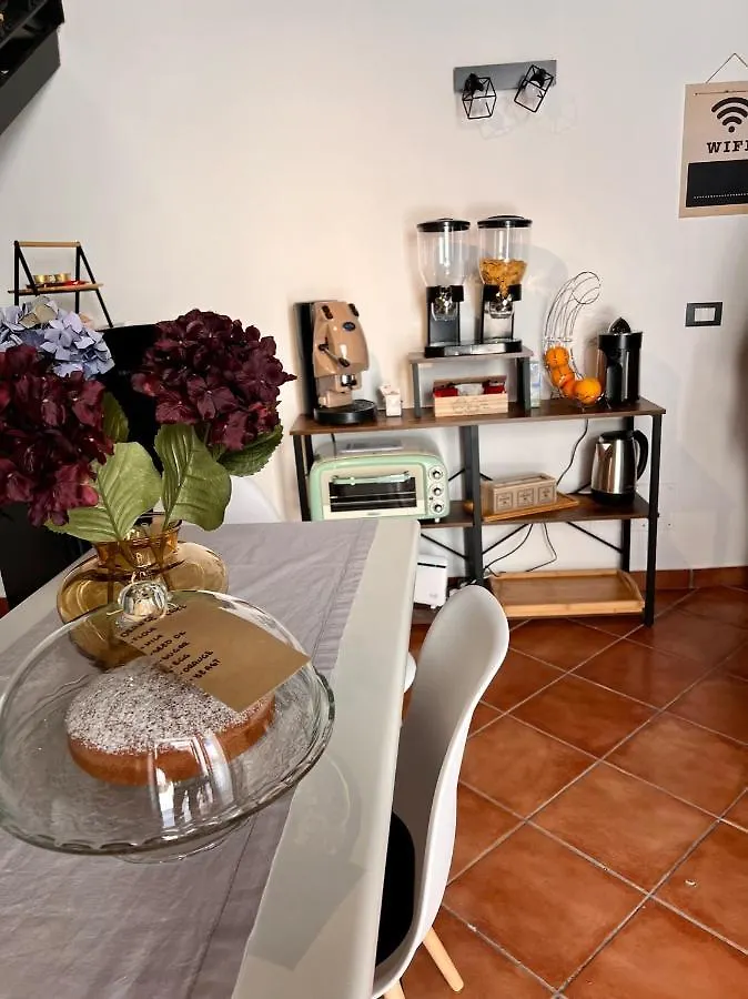 Domus Conte Federico Apartment Palermo